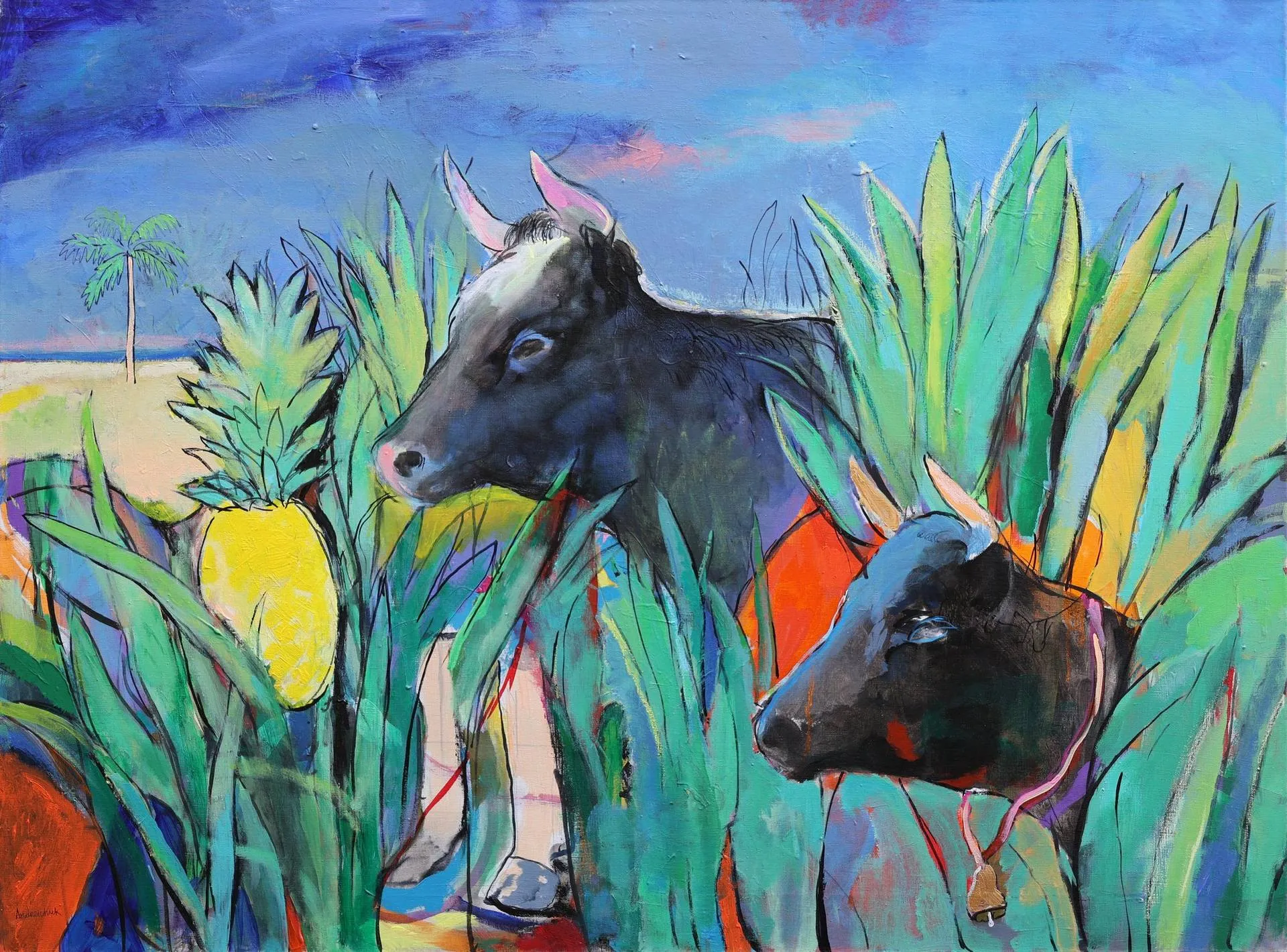Cows looking for pineapples